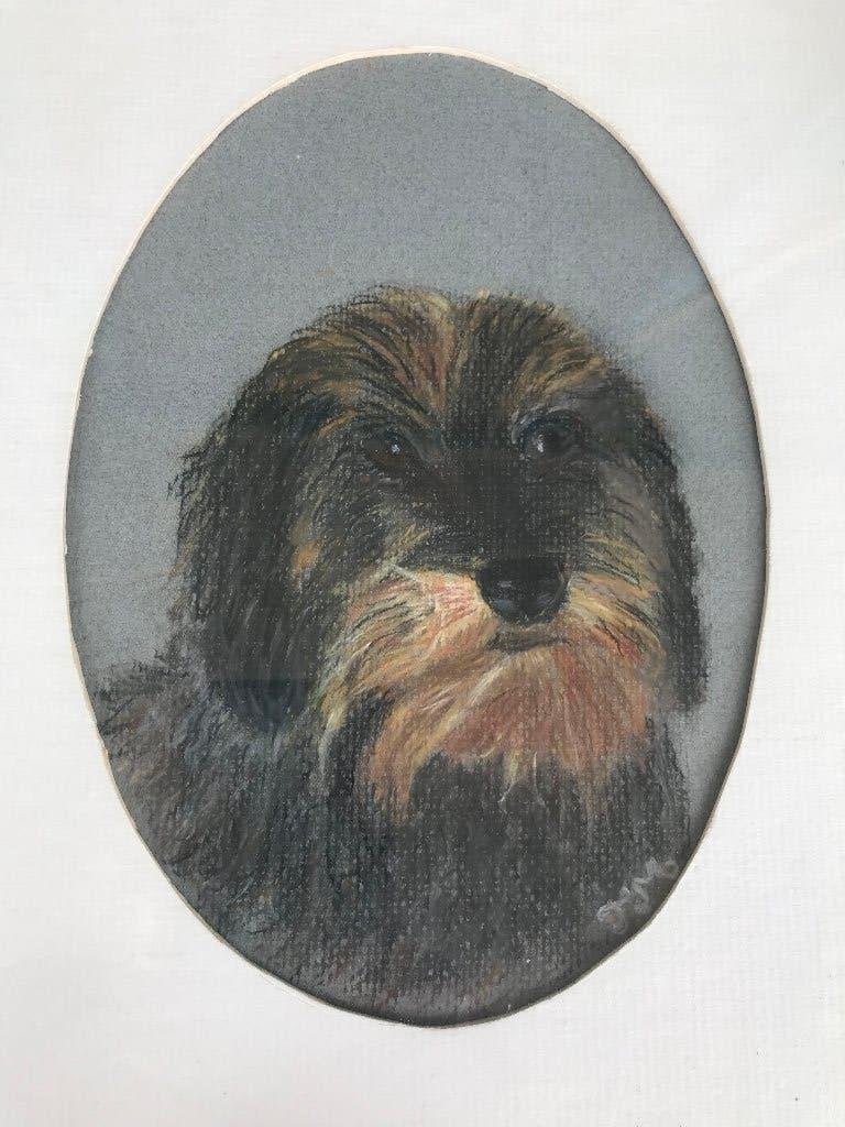 ovaal tekening honden terrier, Ophalen of Verzenden, Tekening, Potloodtekening, Handgemaakt