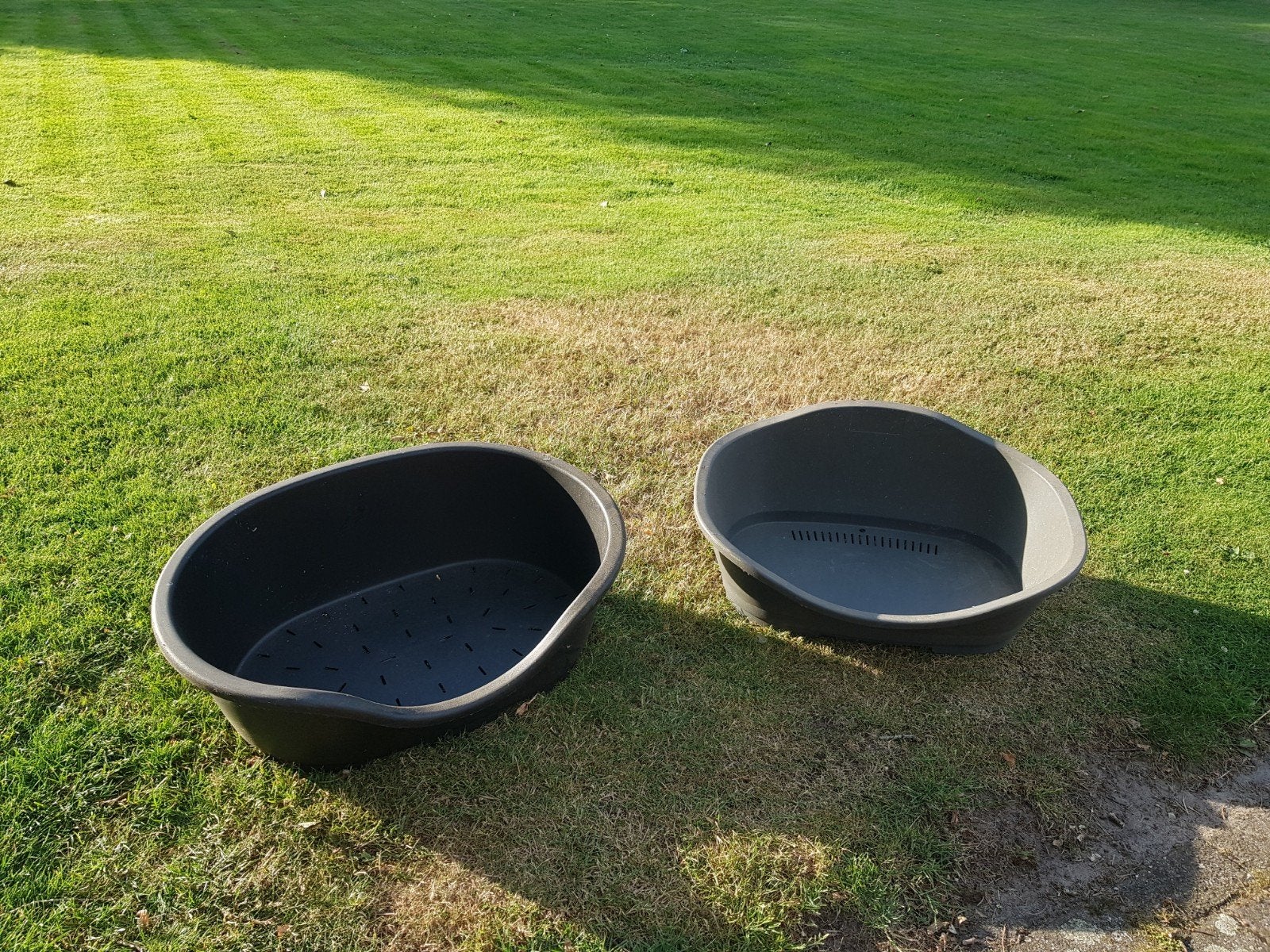 2 honden manden Gratis, Dieren en Toebehoren, Ophalen, Gebruikt, Overige