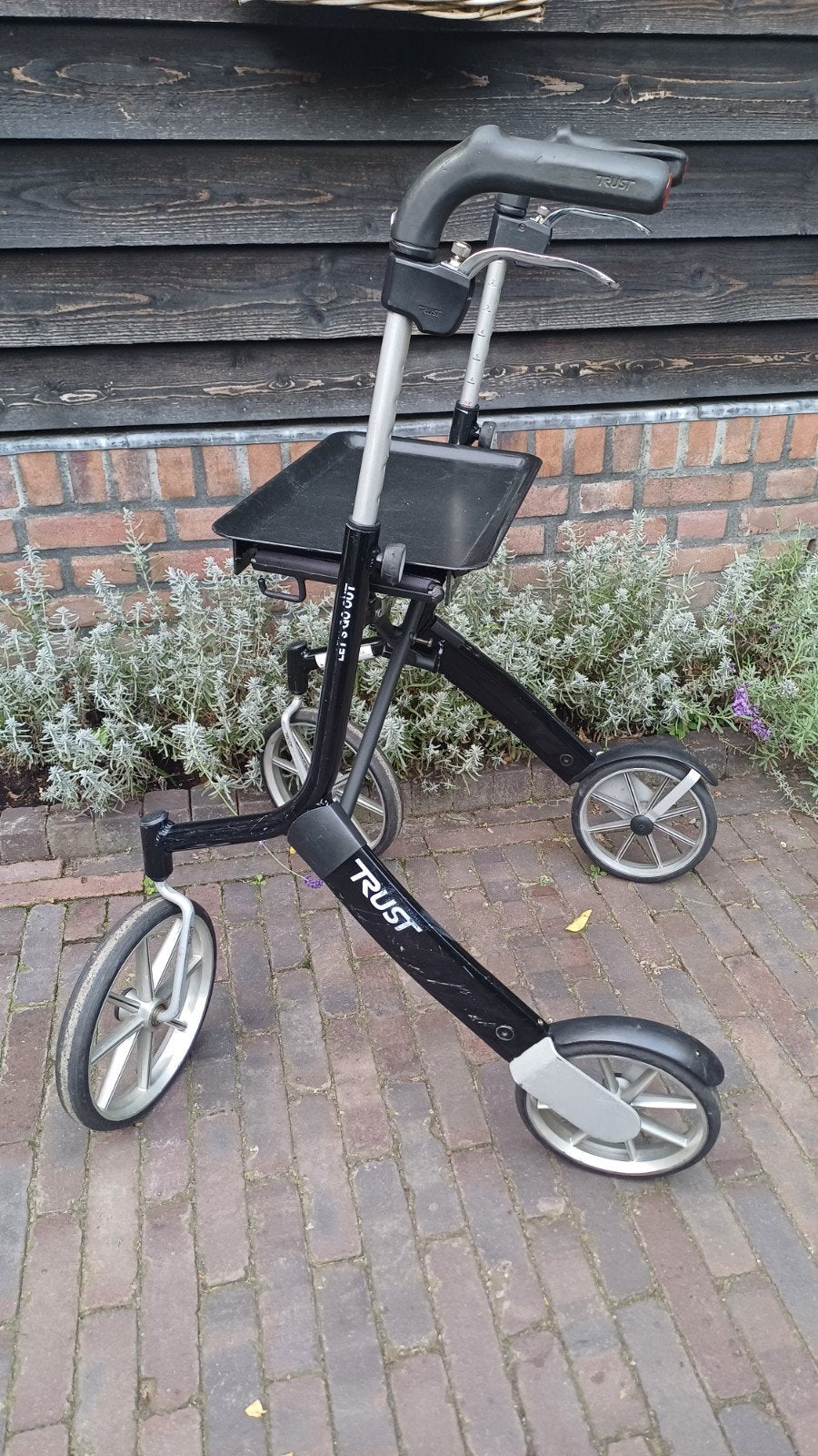 Rollator Trust Lets Go Out, Ophalen, Lichtgewicht, Gebruikt