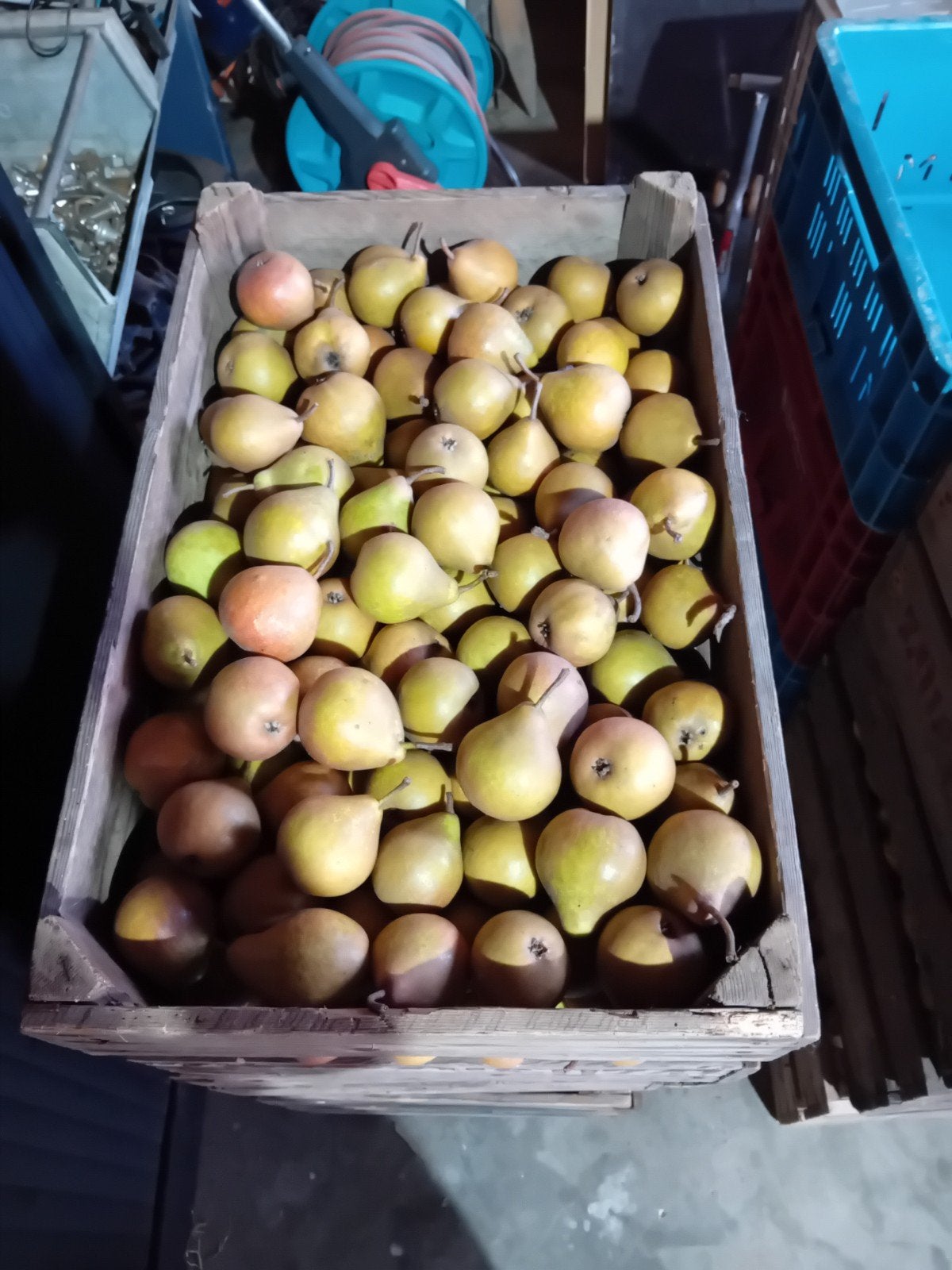 Gieser Wildeman onbespoten Direct van de boomgaard, Ophalen