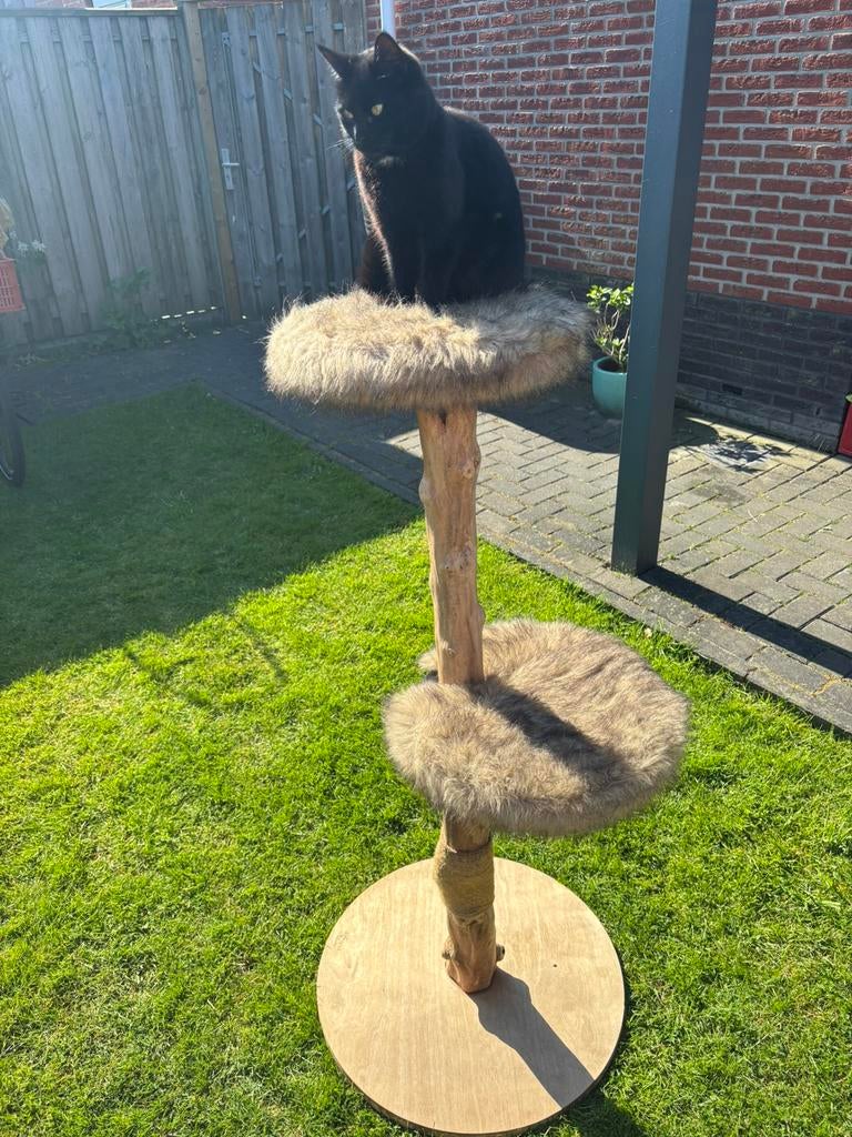Prachtige krabpaal - Designed by Lotte, Dieren en Toebehoren, Krabmeubelen, Ophalen, Zo goed als nieuw, Krabpaal