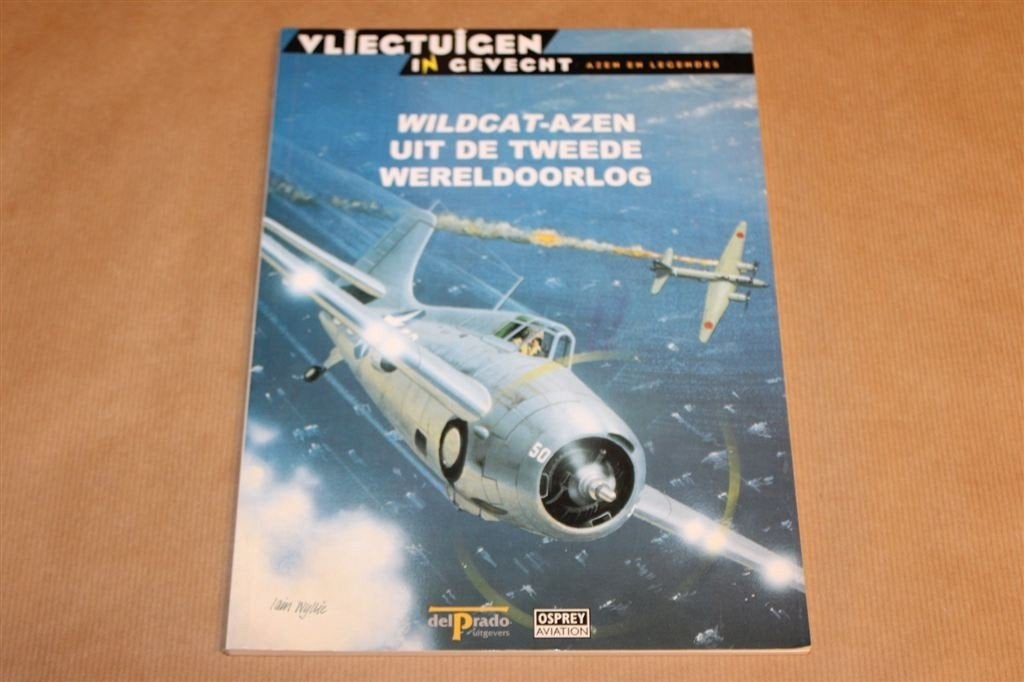 Wildcat-Azen — Gevechtsvliegers uit de 2e Wereldoorlog, Gebruikt, Schaalmodel, -, -