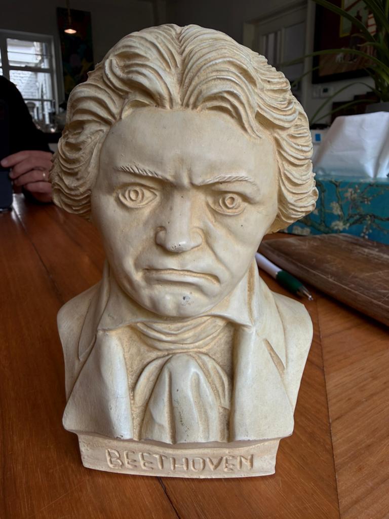 Buste Beethoven, Ophalen of Verzenden, Gebruikt