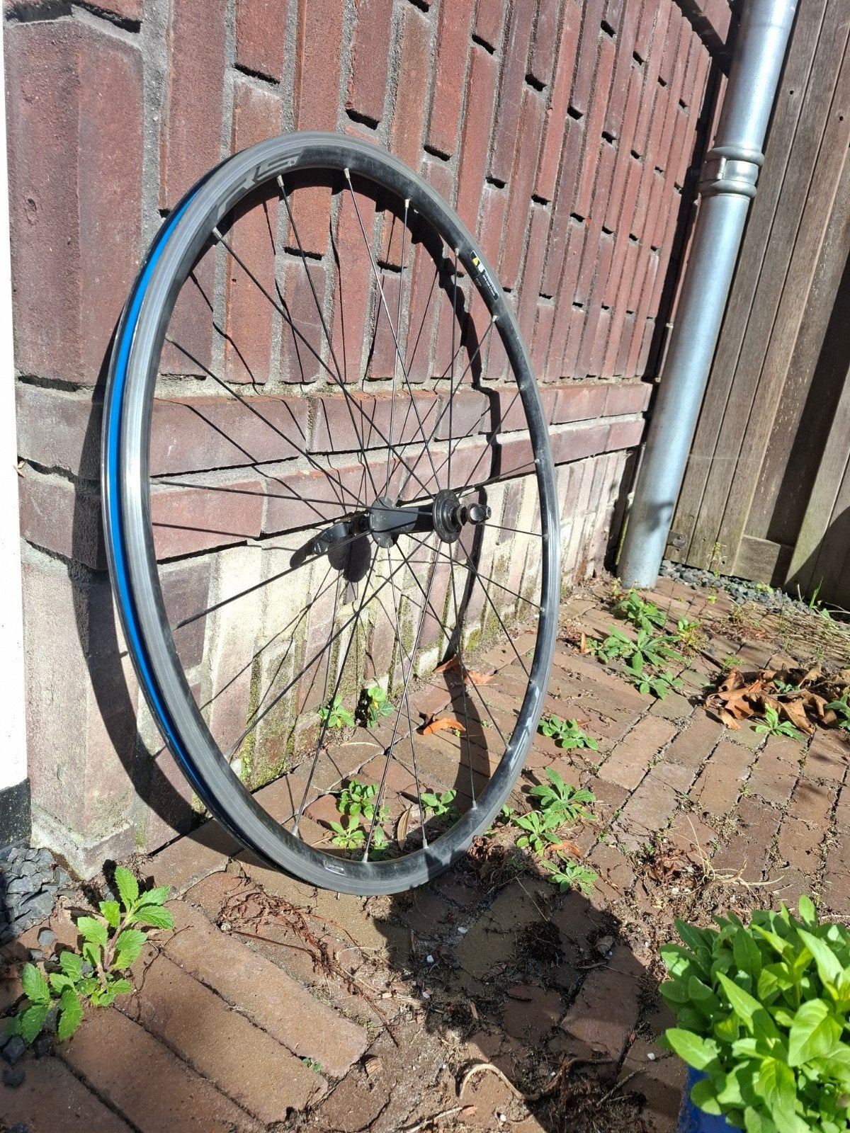 Shimano fietswiel 28 inch (622x15C) - Gebruikt, Ophalen