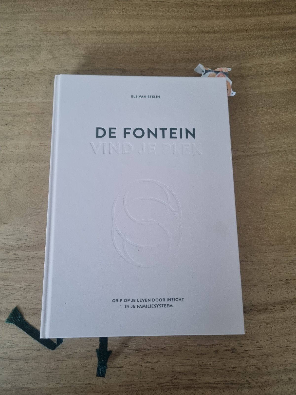 Els van Steijn - De fontein, vind je plek, Ophalen of Verzenden, Els van Steijn, Ontwikkelingspsychologie, Zo goed als nieuw