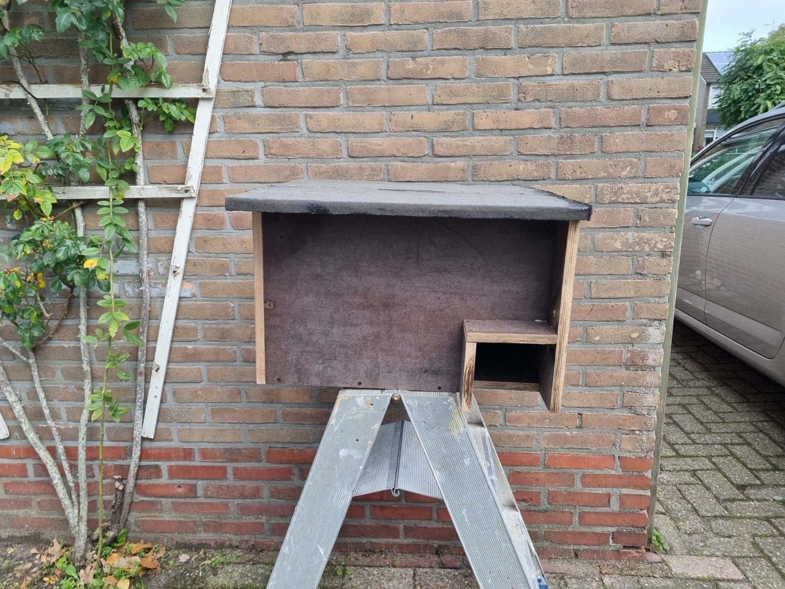 Egelhuis betonplex, Dieren en Toebehoren, Hok, Ophalen, Minder dan 60 cm, Minder dan 75 cm