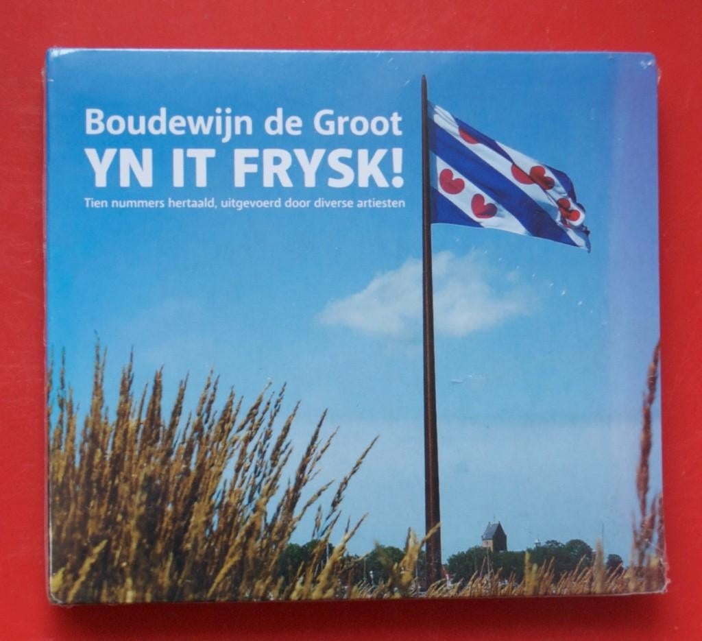cd Boudewijn De Groot yn it Frysk, Een Fries eerbetoon aan, Cd's en Dvd's, Ophalen of Verzenden, Zo goed als nieuw