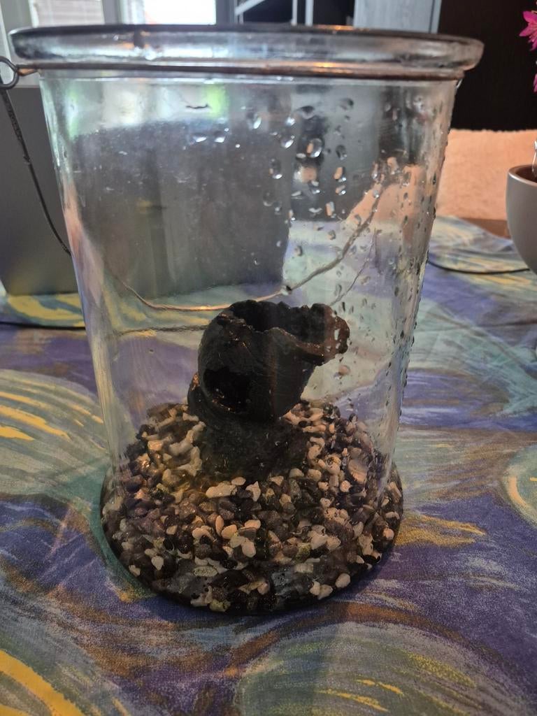 Glazen kom, Ophalen, Leeg aquarium