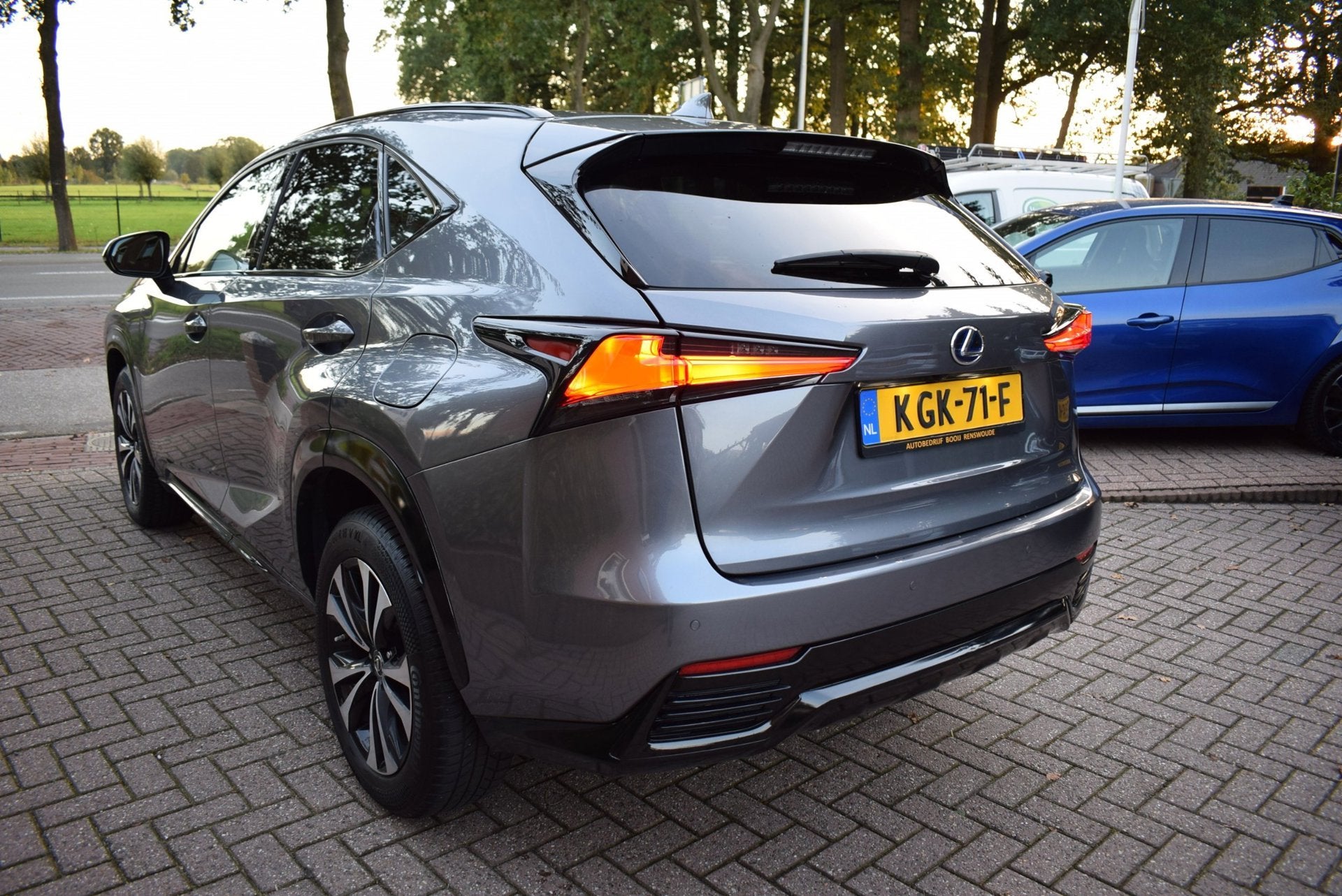 Lexus NX 300h AWD Executive Line AUTOM/LEDER/CAMERA/NAVI/CRU, Auto's, Gebruikt, Euro 6, Leder, Bedrijf