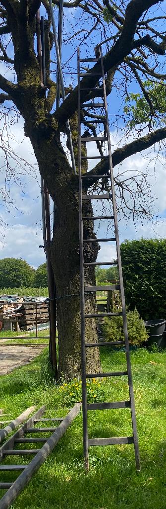 18 treden houten fruitladder Decoratieve vintage, Ophalen of Verzenden, Gebruikt, Ladder, 4 meter of meer
