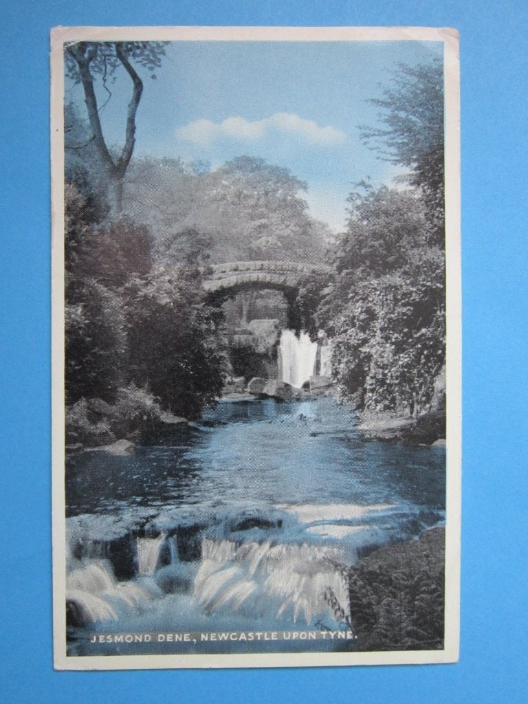 Ansichtkaart: Engeland, JESMOND DENE, NEWCASTLE UPON TYNE., Verzamelen, Ansichtkaarten | Buitenland, Ophalen of Verzenden, 1960 tot 1980
