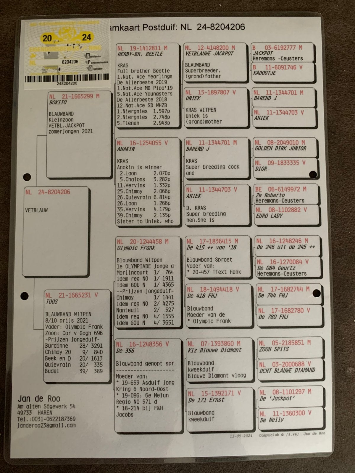 Doffer rechtstreeks gehaald bij eijerkamp-paalman., Dieren en Toebehoren, Mannelijk, Postduif
