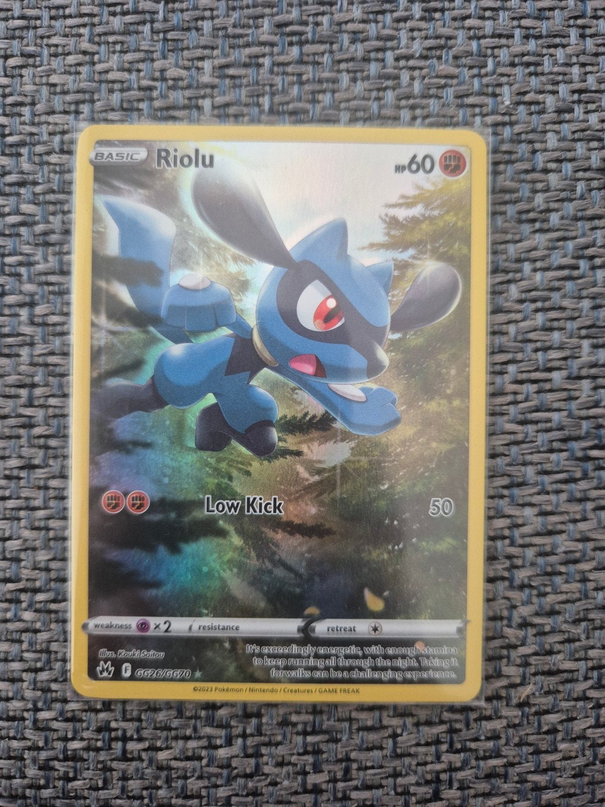 Pokémon Riolu kaart (Zeldzaam, Glanzend), Ophalen of Verzenden, Nieuw, Losse kaart, Foil