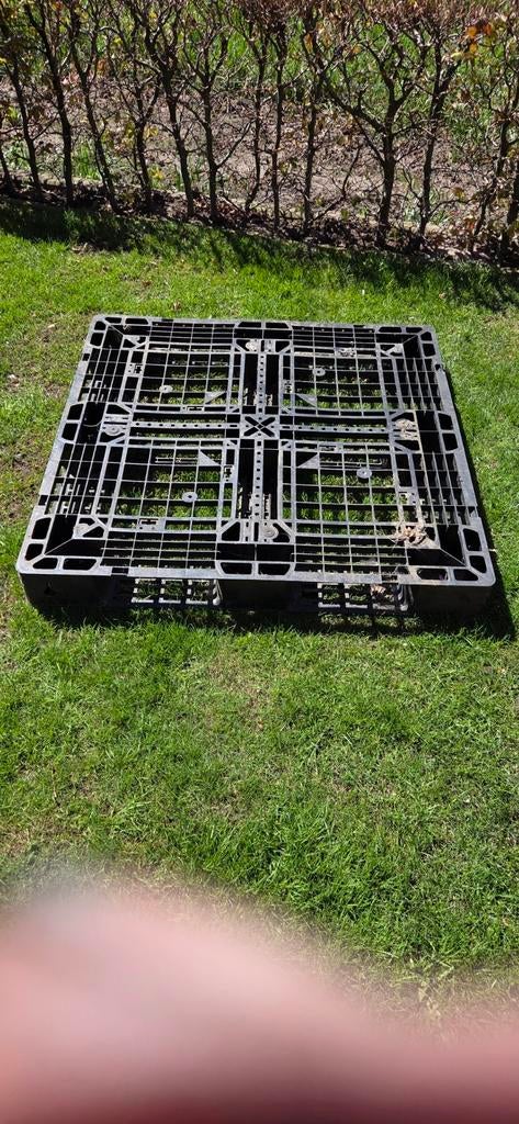 Aangeboden Kunstof Pallet, Ophalen, 100 cm of meer, 60 cm of meer, Overige typen