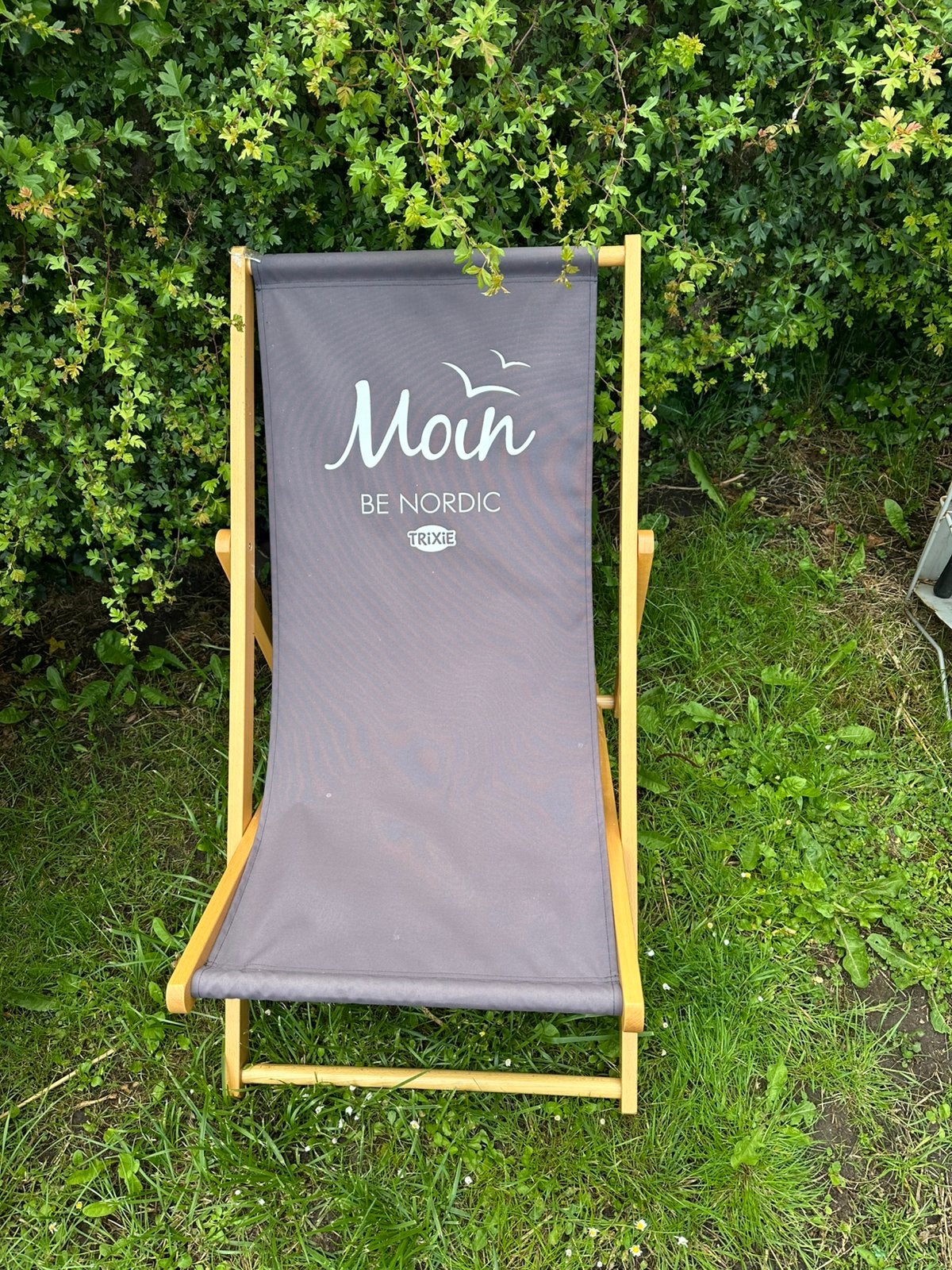 Strandstoel, Tuin en Terras, Tuinstoelen, Ophalen of Verzenden, Nieuw