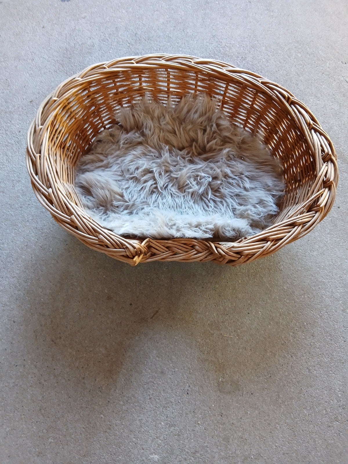 riet met grijs kussentje kat/kleine honden mad, Dieren en Toebehoren, Kattenmanden, Ophalen, Gebruikt, Overige