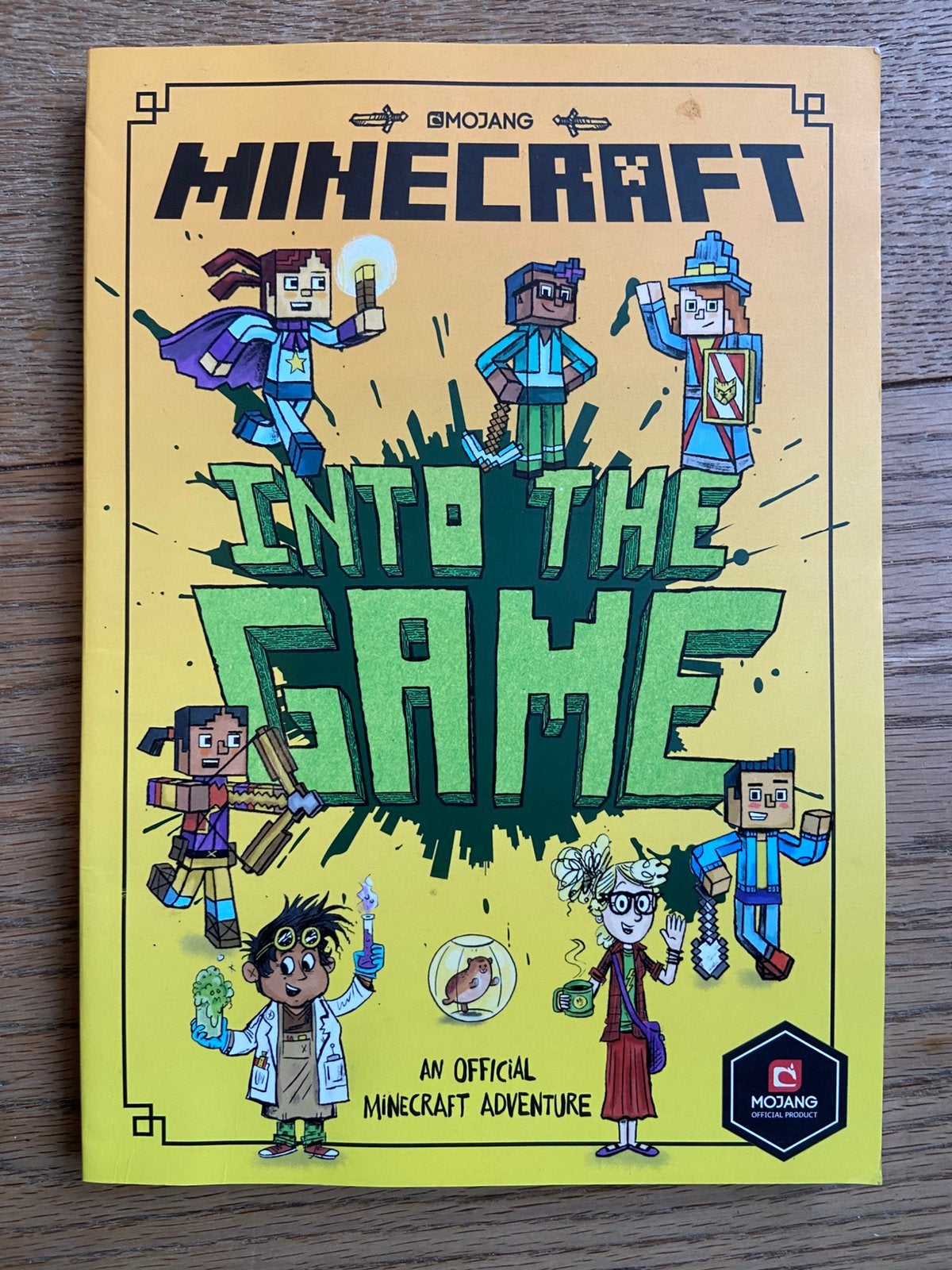 Minecraft Into the Game, Boeken, Ophalen of Verzenden, Zo goed als nieuw