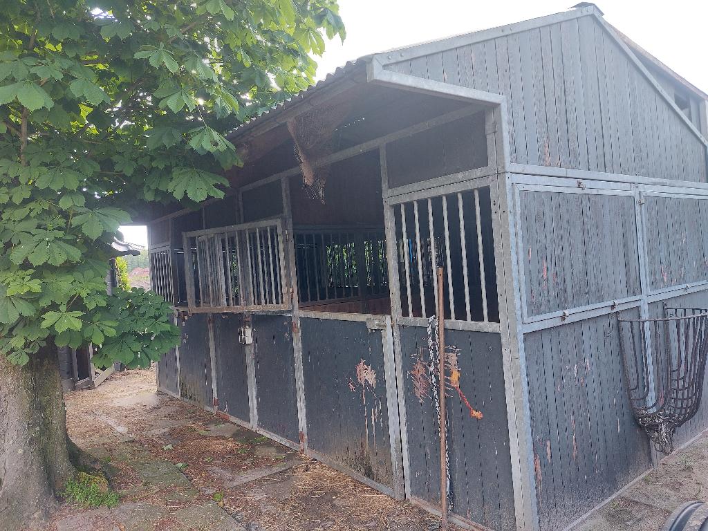 Paardenboxen/Paardenschuur, Dieren en Toebehoren, Stalling en Weidegang, Stalling, 4 paarden of pony's of meer