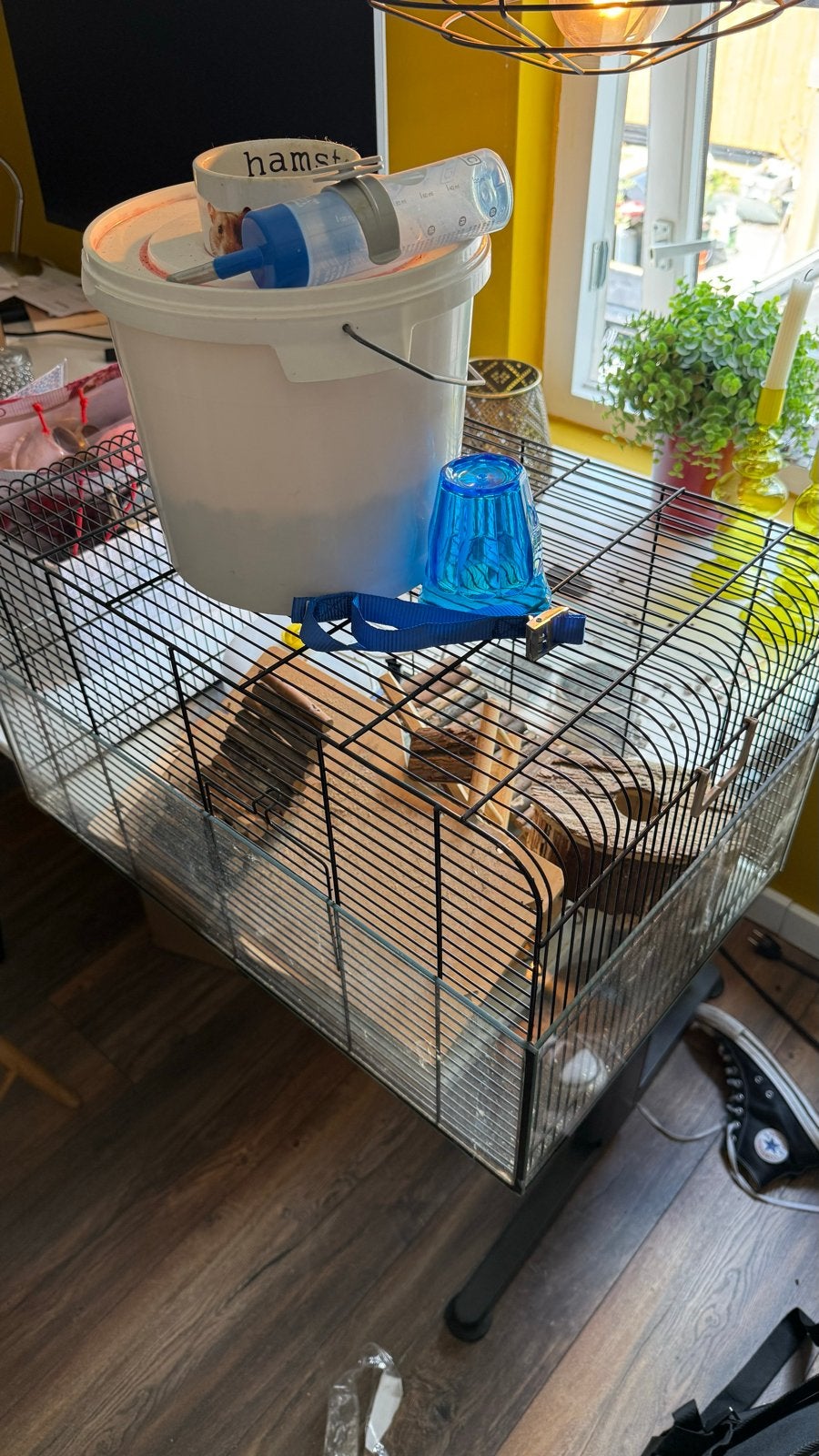 Hamsterkooi met glazen bak. 33x59x33, Dieren en Toebehoren, Knaagdieren en Konijnen | Hokken en Kooien, Kooi, Minder dan 75 cm
