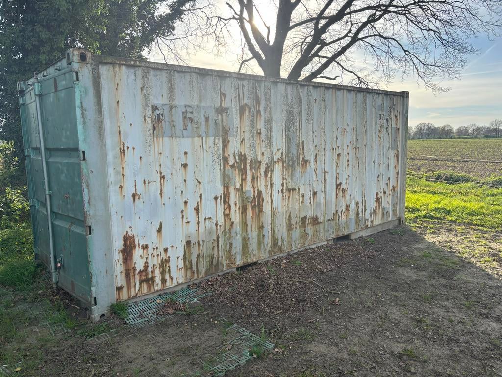 2 gebruikte zeecontainers:opslag 1 open, 1 dicht), Dieren en Toebehoren, Merrie, 0 tot 2 jaar