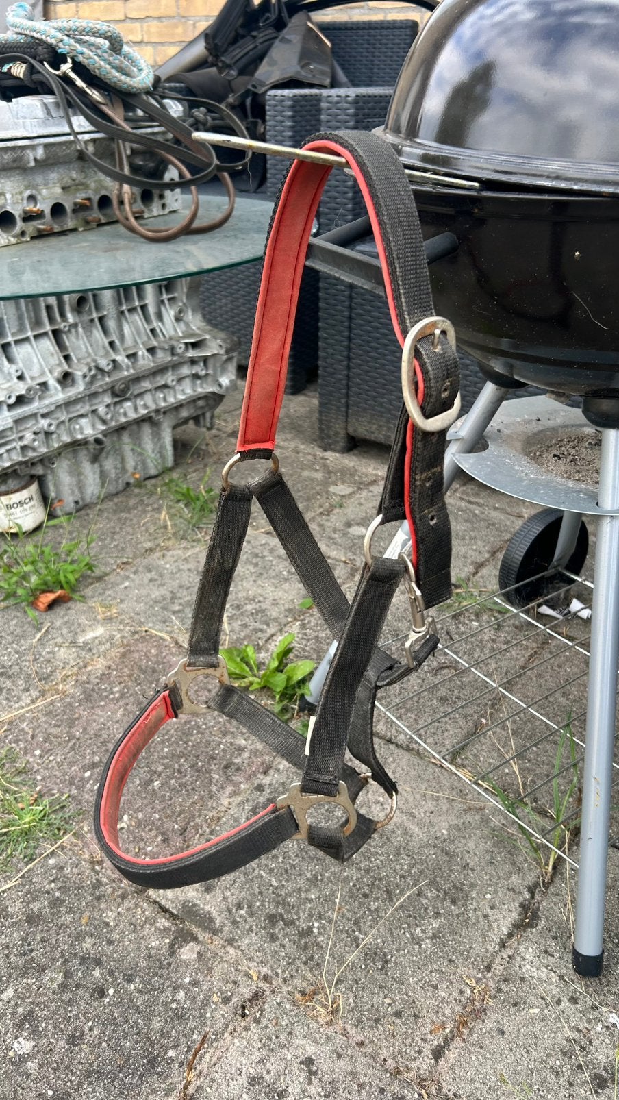 Halster maat cob, Ophalen of Verzenden, Zo goed als nieuw, Halster, Cob