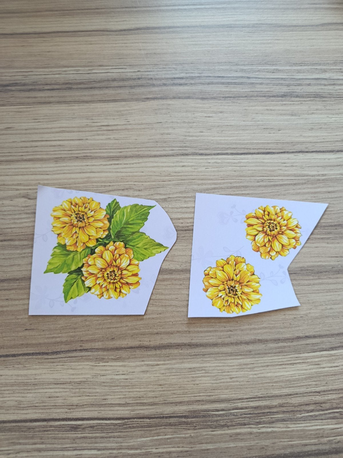 Zonnebloemen knipveltjes,, Ophalen of Verzenden, Nieuw, Natuur, Overige typen