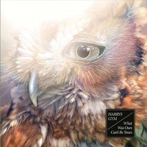 SALE--CD HARRYS GYM-What Was Ours Can't Be Yours, Verzenden, Zo goed als nieuw, Poprock