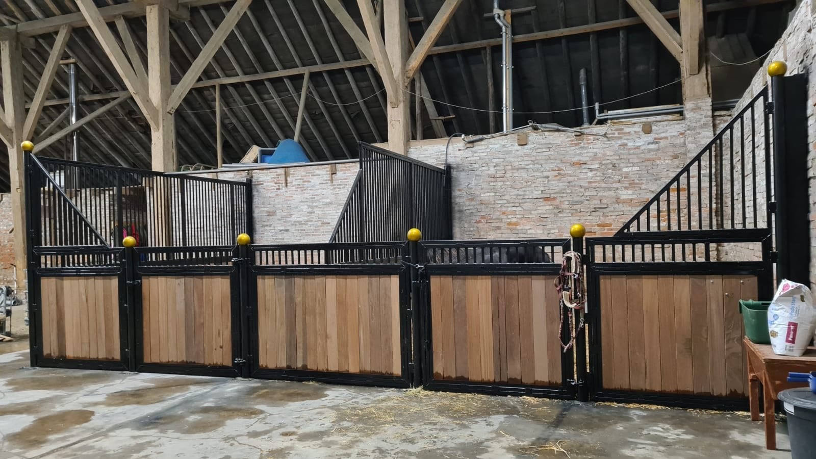 paardenboxen/stallen, Dieren en Toebehoren, Stalling en Weidegang, Weidegang, 4 paarden of pony's of meer