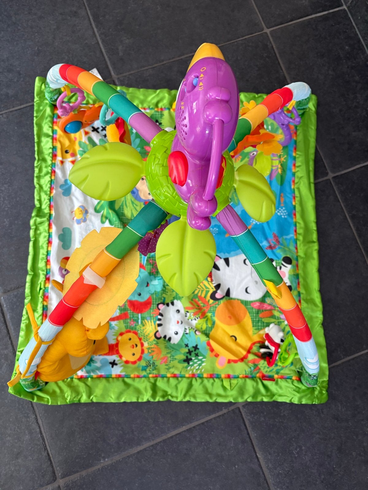 Fisher-Price Rainforest Muziek & Licht Deluxe Speelkleed, Ophalen, Zo goed als nieuw, Speelkleed, Met licht