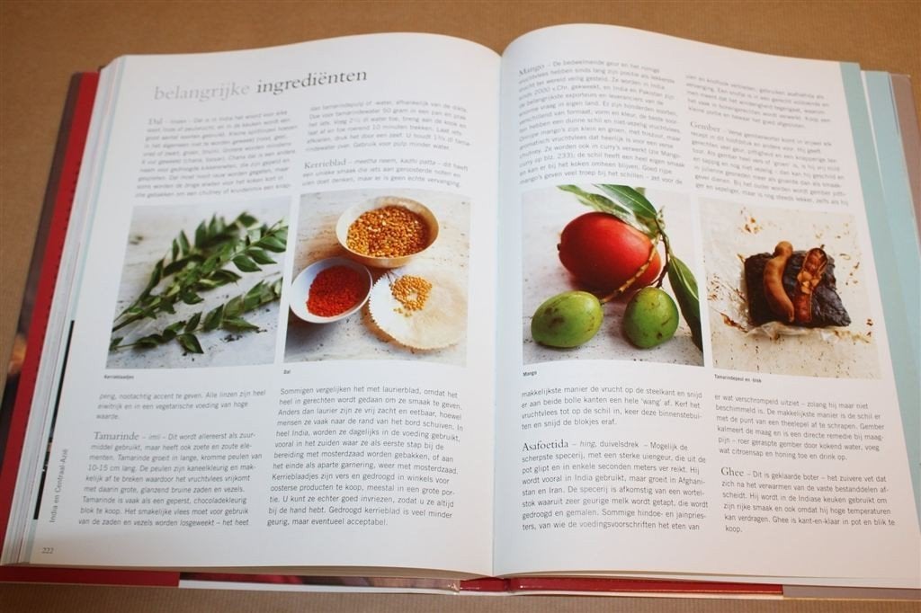 Beste Vegetarische Gerechten — 300 Pagina\'s Wereldrecepten, Ophalen of Verzenden, Zo goed als nieuw, Italië
