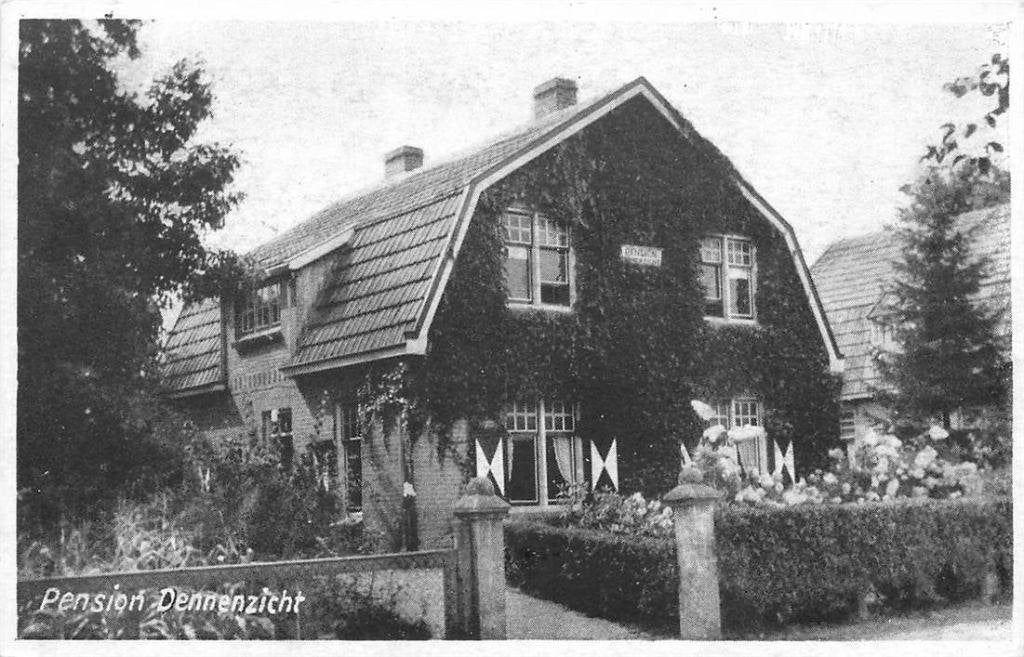 388-459-007 Pension Dennenzicht, Verzenden, Voor 1920
