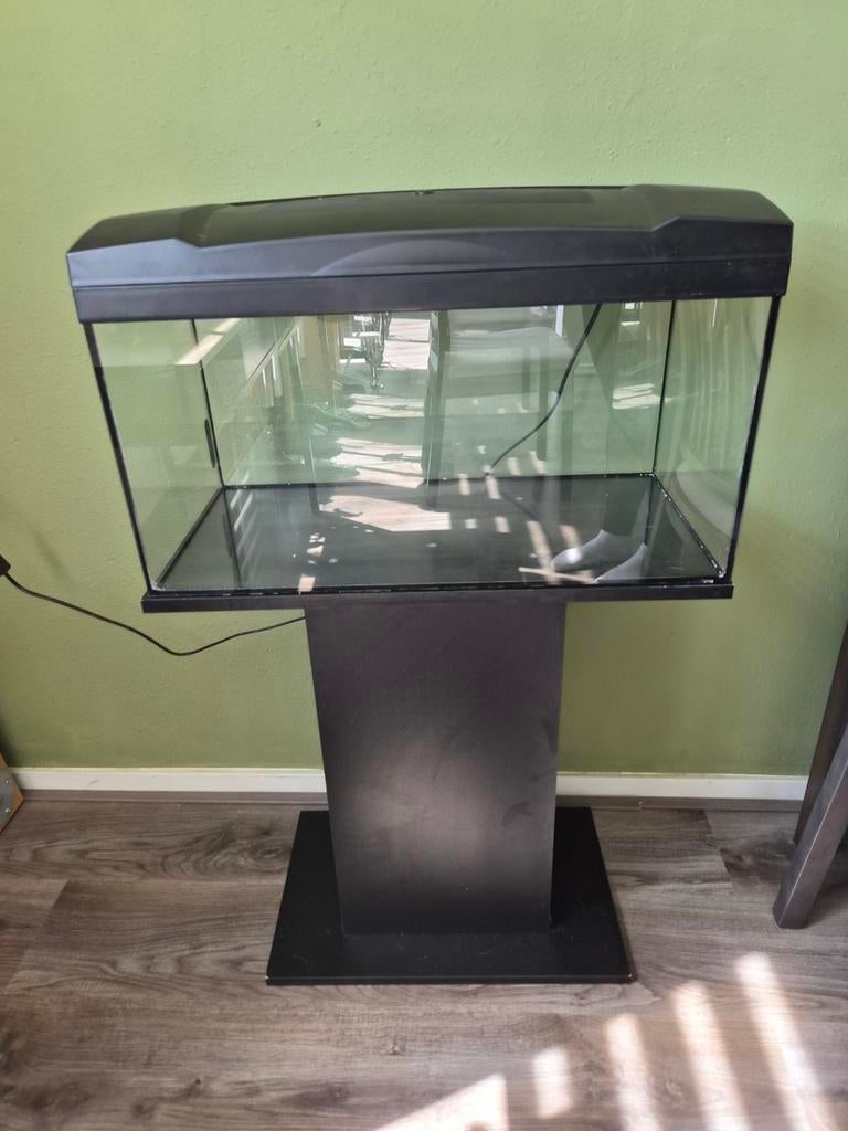 Aquarium 60x30x30 54L met standaard, Dieren en Toebehoren, Vissen | Aquaria en Toebehoren, Ophalen
