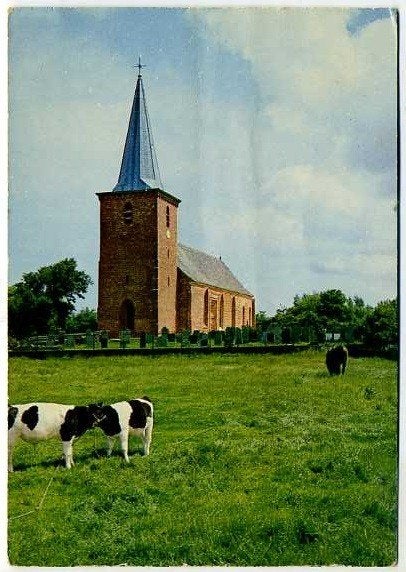 Terschelling - Historisch kerkje te Hoorn (koeien), Ophalen of Verzenden, Gelopen, Waddeneilanden