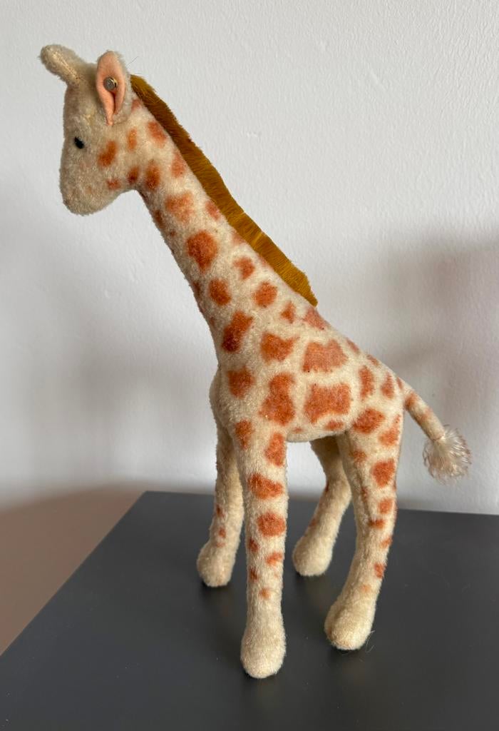 Steiff giraffe uit 1950, Verzamelen, Ophalen of Verzenden, Zo goed als nieuw, Hert, Schedel