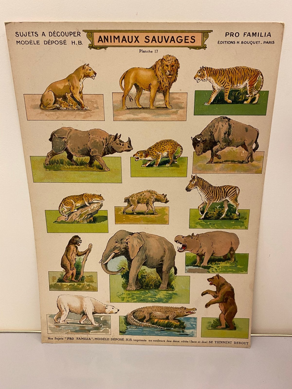 Vintage knipvel Wilde Dieren - Pro Familia, Verzamelen, Ophalen of Verzenden, Gebruikt, Wild dier, Overige typen
