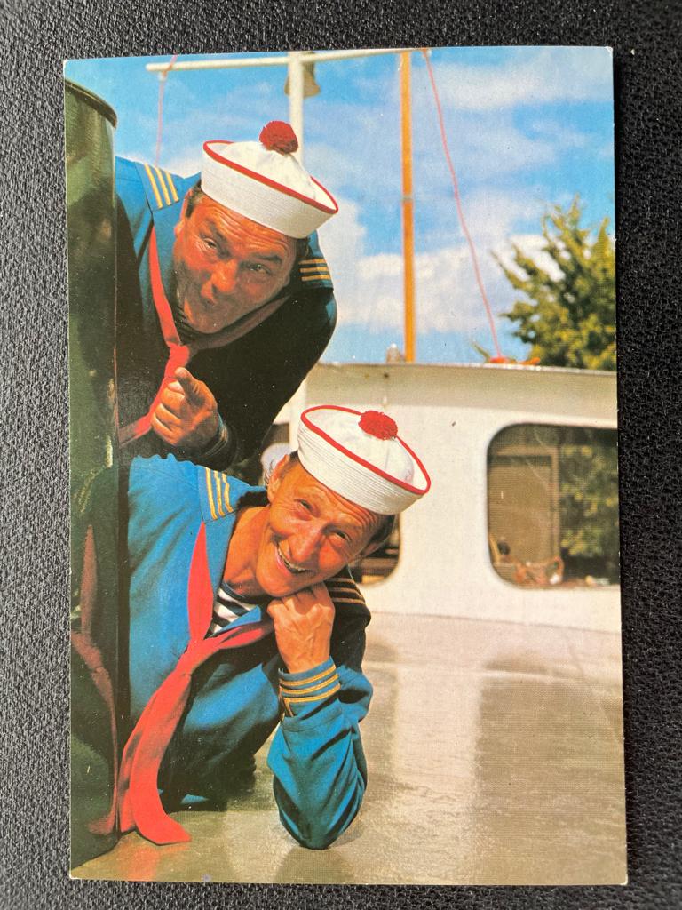 ansichtkaart / kaart van ; Peppi en Kokki 8., Verzamelen, Verzenden, 1960 tot 1980, Sterren en Beroemdheden