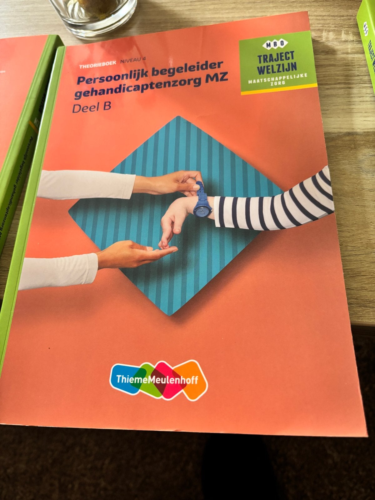 Persoonlijk begeleider gehandicaptenzorg MZ Deel B, Ophalen, Zo goed als nieuw