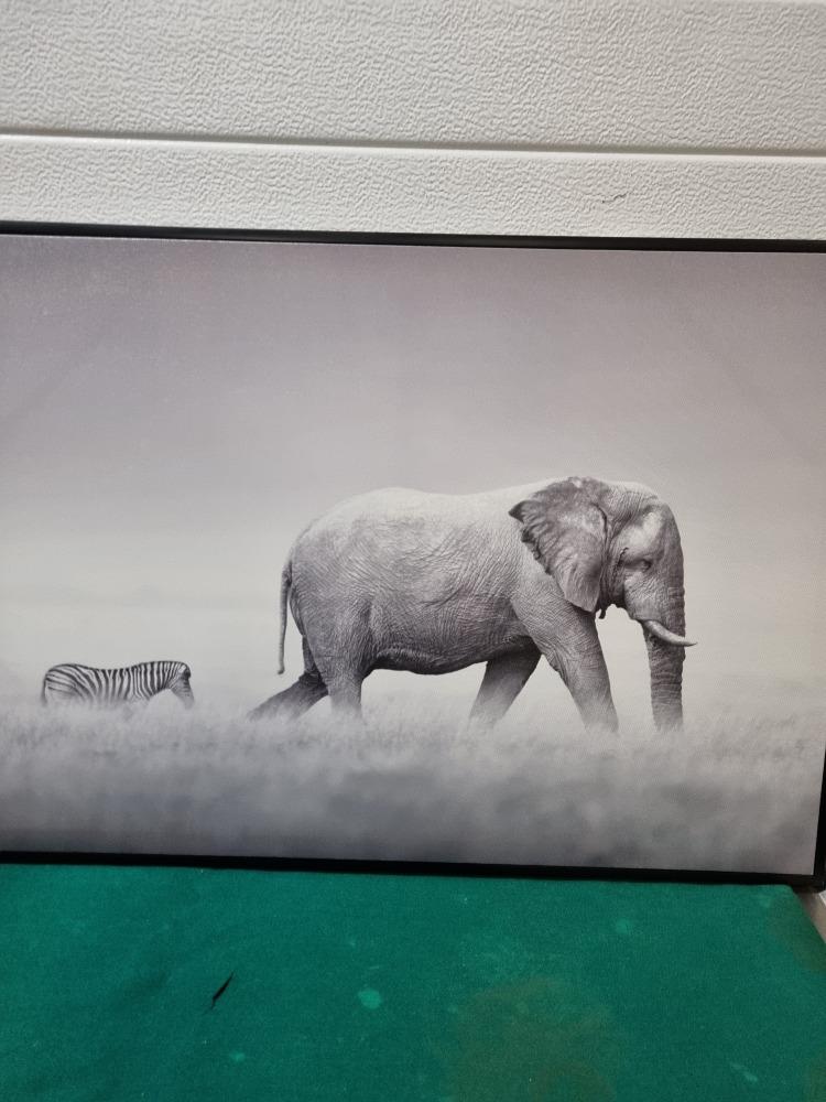 schilderij fotodoek zebra en olifant in zwarte lijst, Huis en Inrichting, Woonaccessoires | Schilderijen, Tekeningen en Foto's