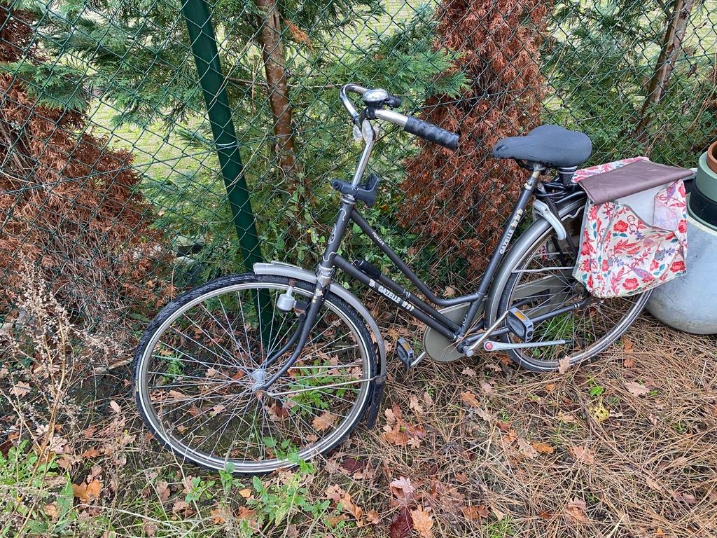 Gazelle damesfiets, Fietsen en Brommers, Ophalen, Gebruikt, Terugtraprem, Gazelle