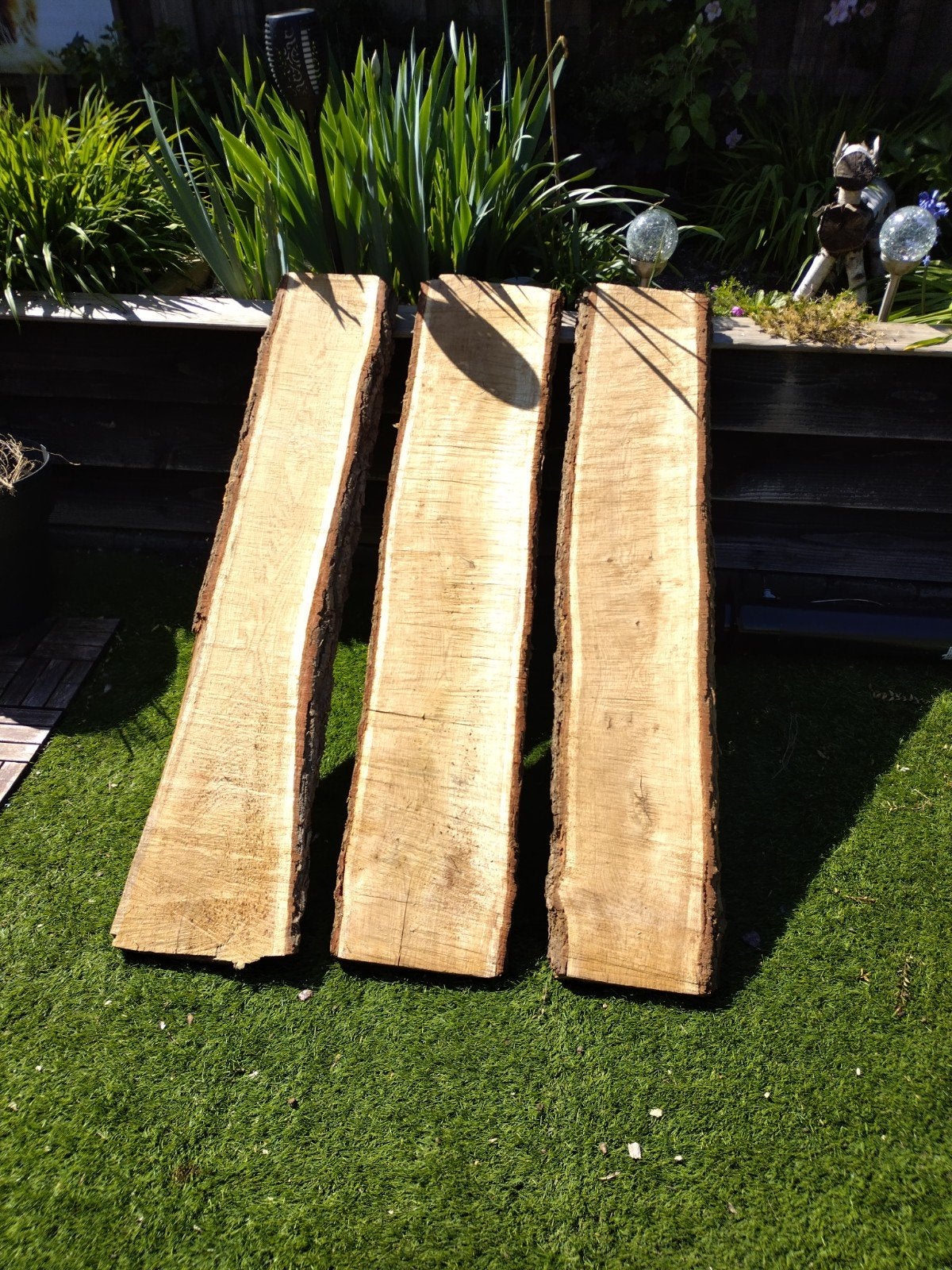 Eiken boomstam planken, ruim 40 mm dik, ruw gezaagd, Doe-het-zelf en Verbouw, Hout en Planken, Minder dan 25 mm, Eiken, Ophalen of Verzenden