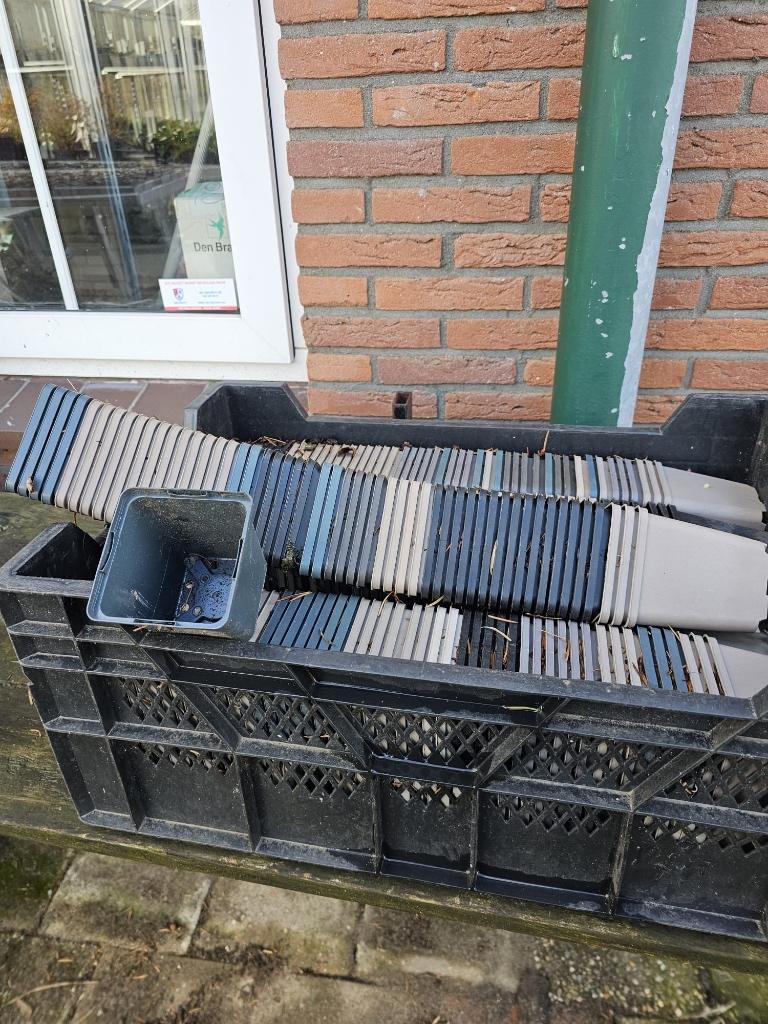 Kweek pot  9 cm, Tuin en Terras, Bloempotten, Ophalen, Kunststof, Gebruikt, Vierkant