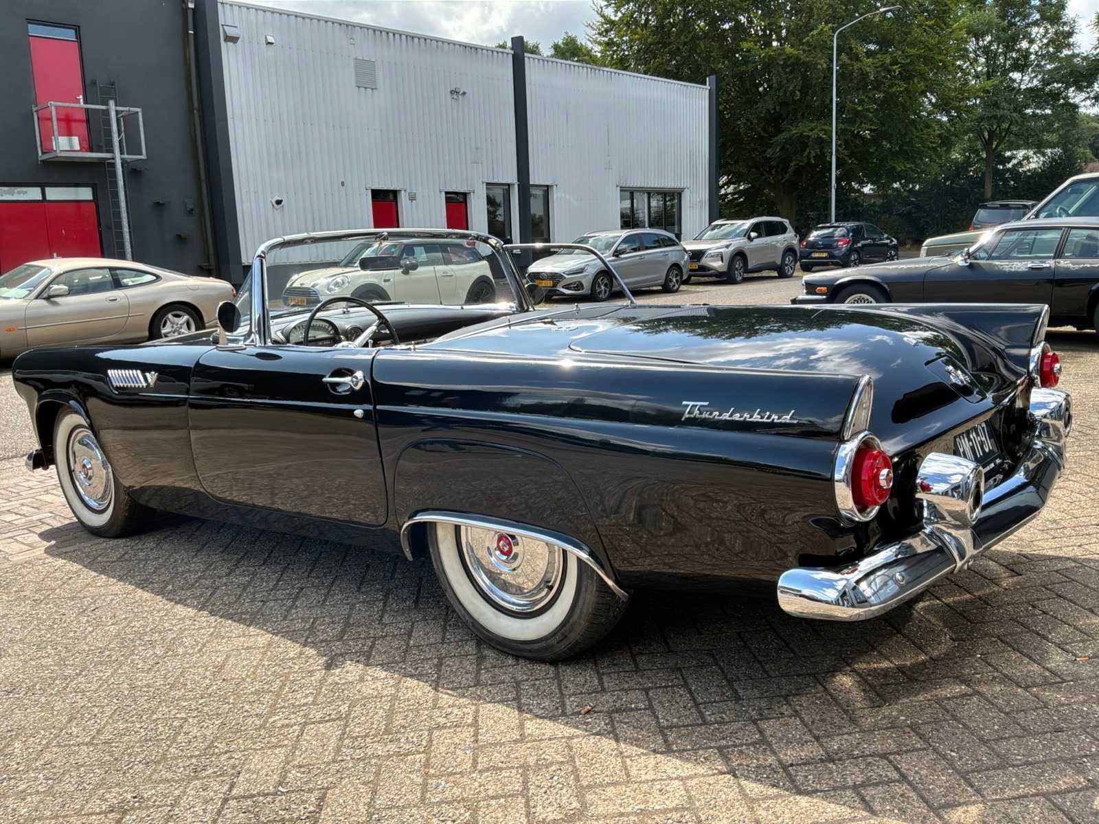 1955 ford THUNDERBIRD Oldtimer, foto 3