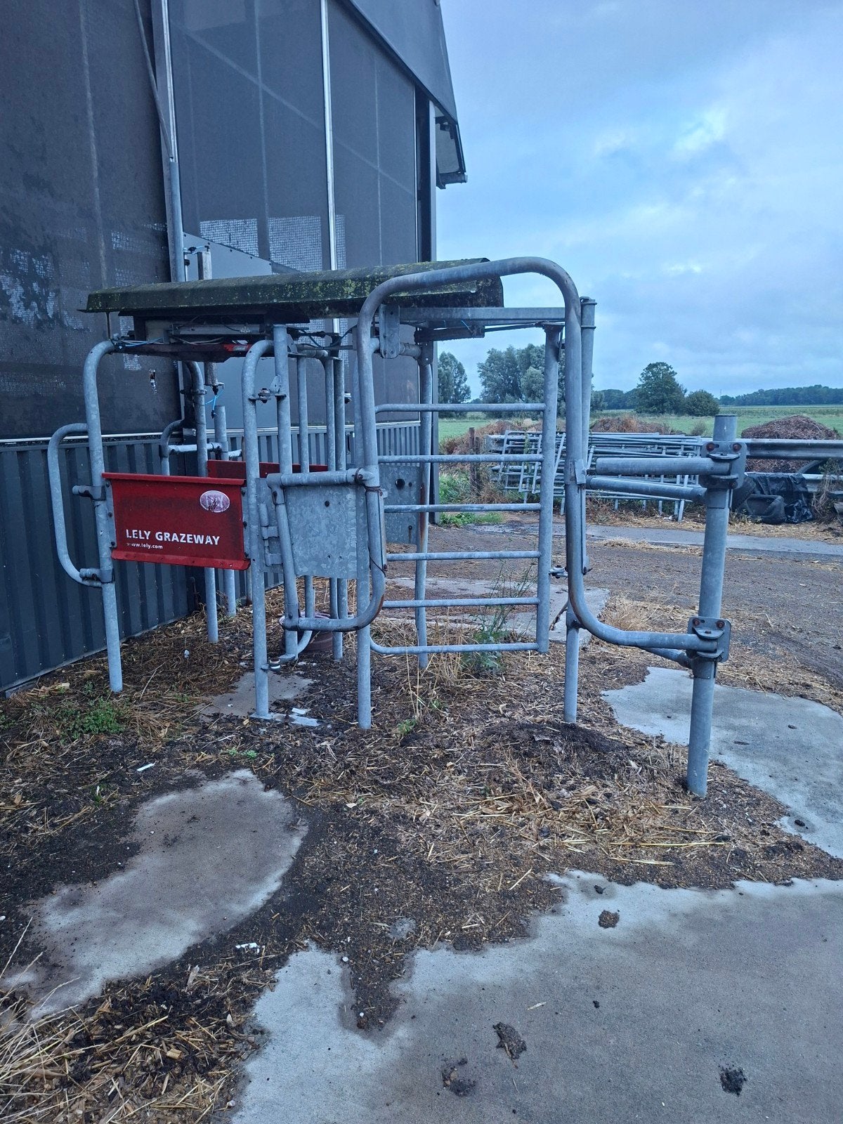 Lely Grazeway - Efficiënte Koeiengeleiding, Ophalen, Veehouderij, Stalinrichting