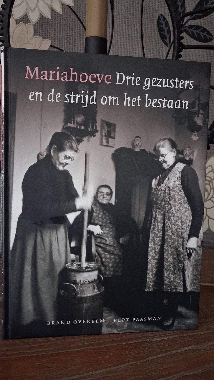 Mariahoeve: Drie zusters en de strijd om het bestaan, Boeken, Ophalen of Verzenden, 20e eeuw of later, Zo goed als nieuw, Brand Overeem, Bert Paasman