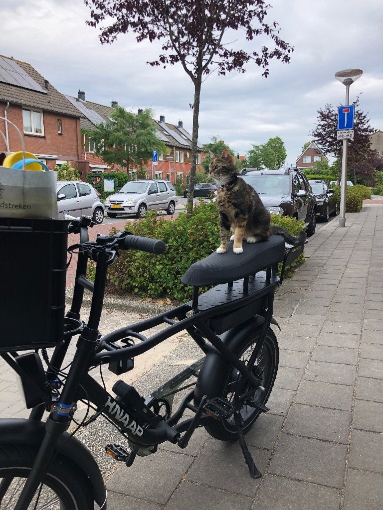 Fatbike Knaap AMS met Aankoopbewijs nieuwprijs 3000 euro, Zo goed als nieuw, 59 cm of meer, 50 km per accu of meer, Ophalen