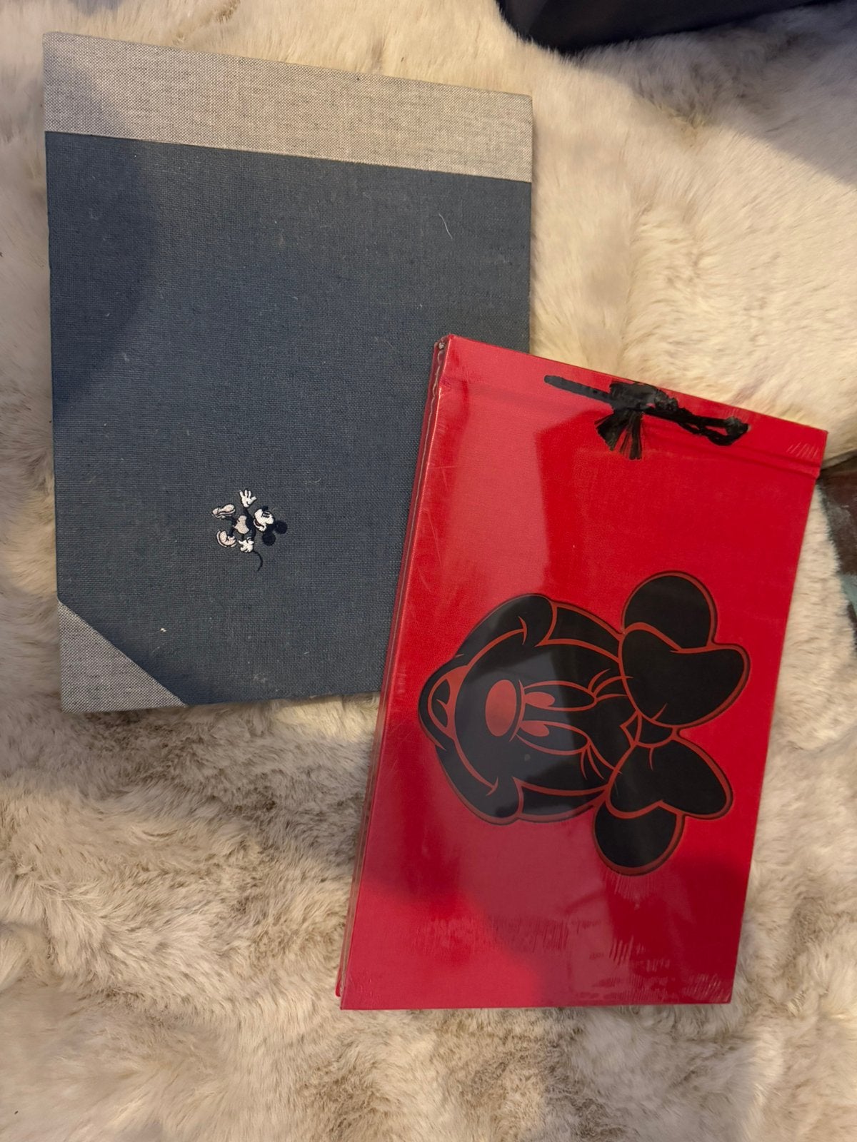 Twee nieuwe foto boeken donaldson en henzo mickey minnie, Ophalen, Mickey Mouse, Zo goed als nieuw