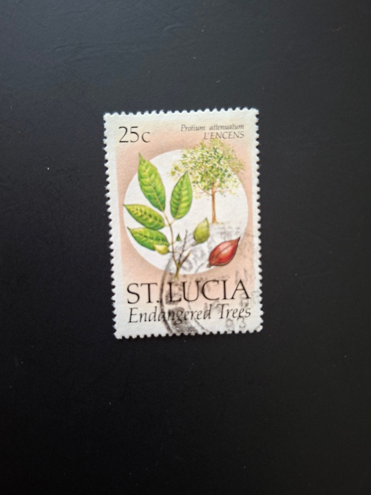 St. Lucia. Bedreigde bomen., Postzegels en Munten, Ophalen of Verzenden, Dier of Natuur