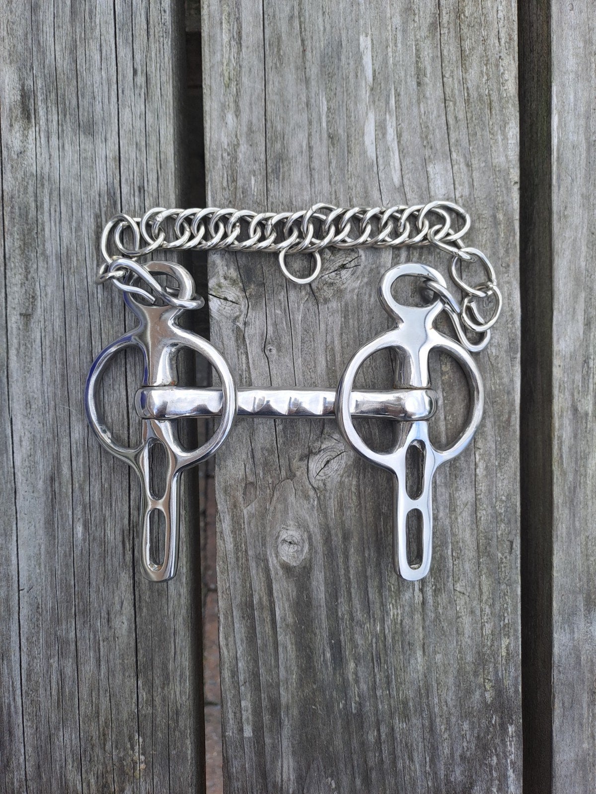 HB liverpool stang, Shetlander, Overige disciplines, Zilver, Nieuw