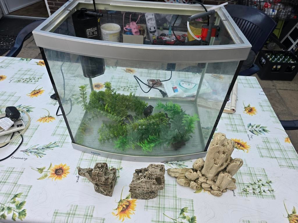 Aqua 65 aquarium compleet € 50, Dieren en Toebehoren, Ophalen, Gevuld zoetwateraquarium