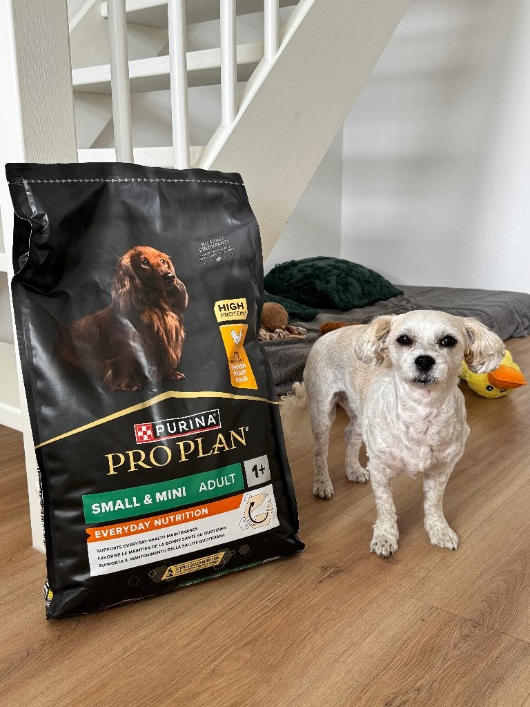PURINA PRO PLAN Small Mini Adult, Ophalen of Verzenden, Hond
